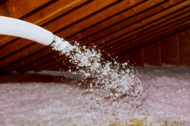 Best Wall Insulation Contractor  in Central City, IA