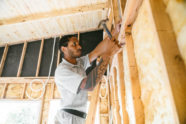 Best Spray Foam Insulation  in Central City, IA