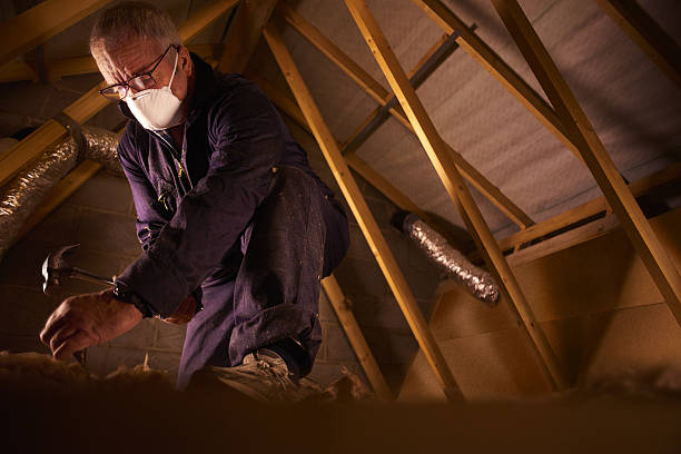 Best Insulation Inspection Services  in Central City, IA