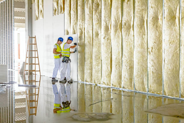 Best Attic Insulation Installation  in Central City, IA